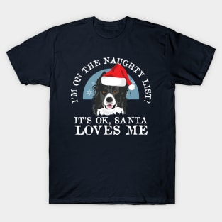 Funny Naughty Dog Lovers Border Collie Christmas Gift T-Shirt